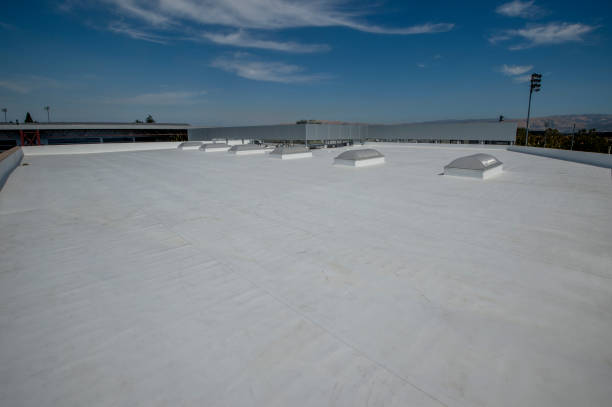 Best Chimney Flashing Repair  in Dayton, KY
