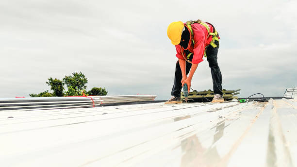 Best Green or Eco-Friendly Roofing Solutions  in Dayton, KY