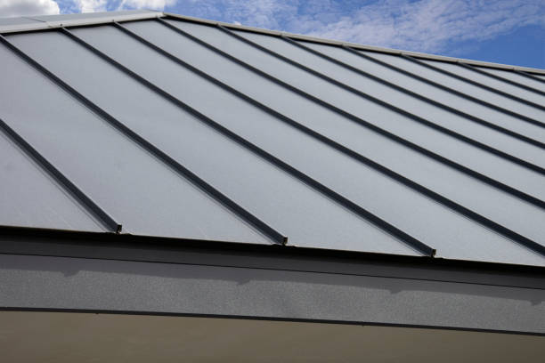 Best Asphalt Shingle Roofing  in Dayton, KY