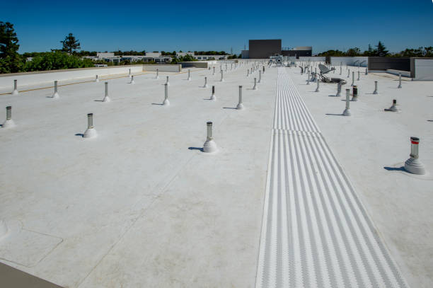 Best Roof Insulation Installation  in Dayton, KY